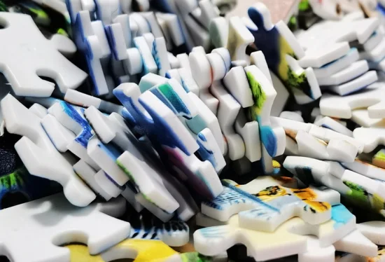  1000-teiliges Plastikpuzzle in Großpackung mit anpassbaren Mustern, Größen und Anzahl der Teile als Spielzeuggeschenke für Erwachsene und Kinder.  Physisches Bild